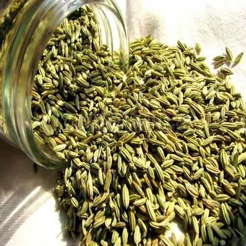 Fennel Seeds
