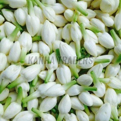 Fresh Jasmine Flowers