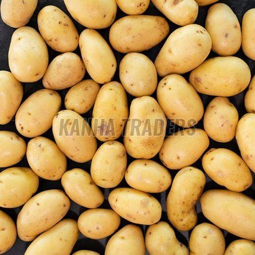 Fresh Potato