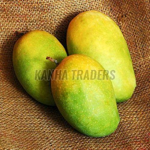 Kesar Mango