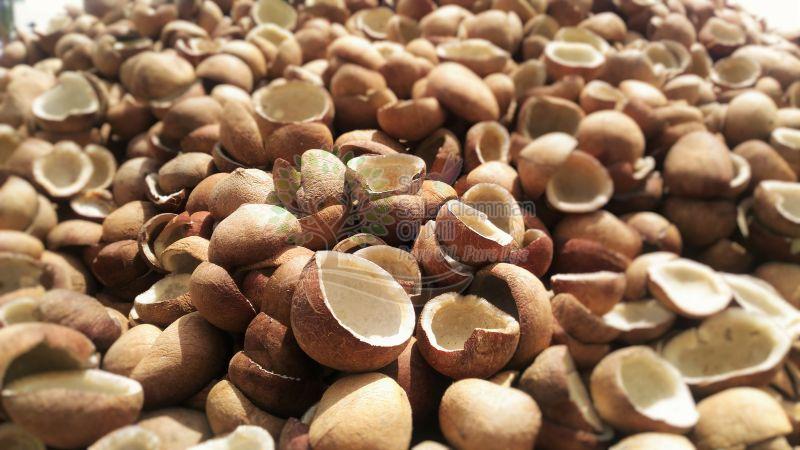 Dried Coconut Copra