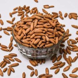 Afghan Pine Nut Jalghoza