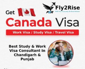 Study Visa Consultancy Services