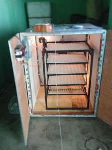 Automatic Incubator