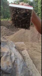 Cast Iron Boring Scrap