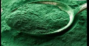 spirulina powder