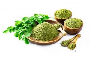 moringa leaves powder