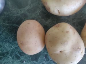 Badshah Variety Potatoes