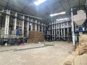 ir64 Parboiled Sortex Rice