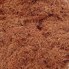 coco peat powder