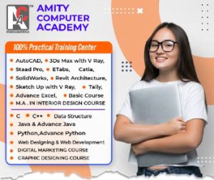 Software Training Institute