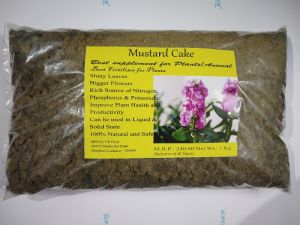 mustard cake