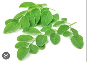 moringa leaves
