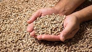 biomass pellet