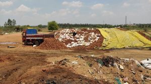 coconut shell charcoal