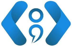 software development