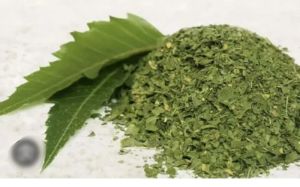 neem powder