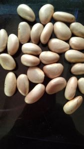 Jackfruit Seeds