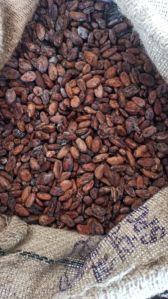 cocoa beans