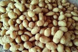 3797 Potato
