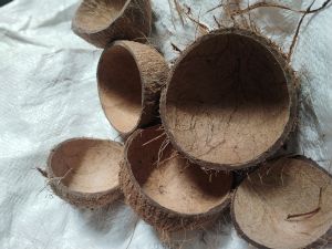 coconut shell