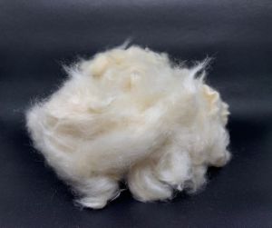 Kapok Fiber Grade A1
