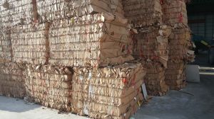 Occ Waste Paper Scraps