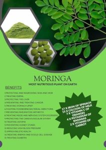 moringa powder