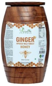 YOUTH NATURES - Pure Ginger Infused Honey 500ML
