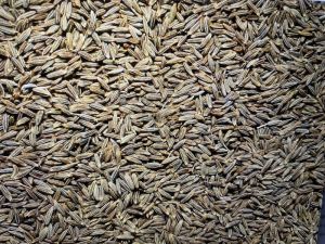 Brown Cumin Seed
