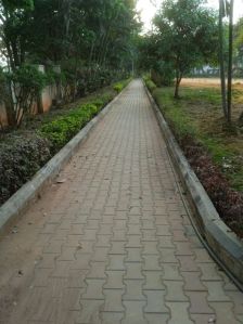 Social Welfare Services