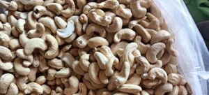 cashew nuts