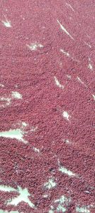 gloriosa superba seeds