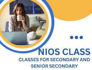 Secondary Senior Secondary Online Coaching Classes