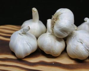 dried garlic