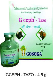 G Ceph - Tazo Injection