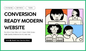 website development services