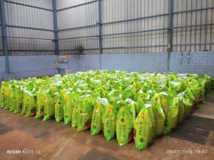 desiccated coconut powder