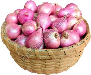 Fresh Red Shallot Onion