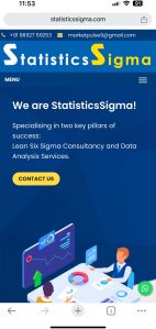 Statistical Analysis Services