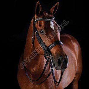 Anatomic Leather Horse Bridle