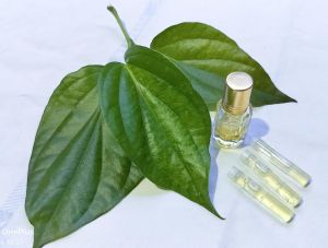 Natural Betel Leaf Oil
