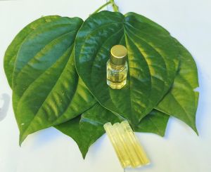 Organic Betel Leaf Oil