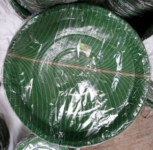 Disposable Paper Plates