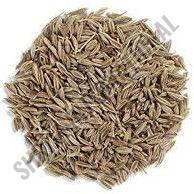 Cumin Seeds