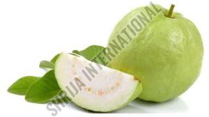 Fresh Guava