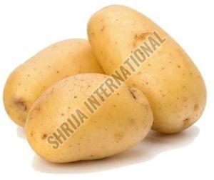 Fresh Potato