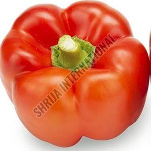 Fresh Red Capsicum