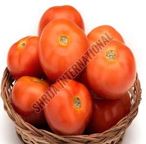 Fresh Tomato