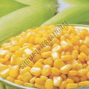 Frozen Sweet Corn